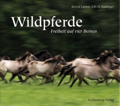 Dülmener Wildpferde: Freiheit auf vier Beinen von Tecklenborg Verlag GmbH